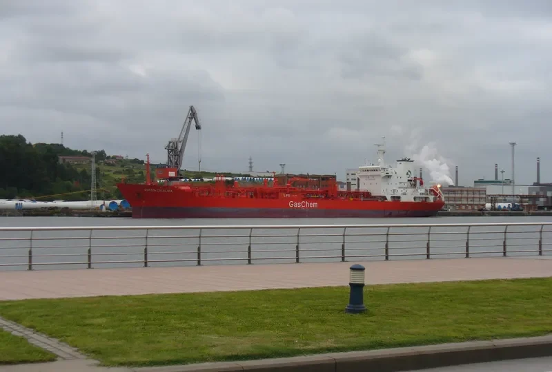 SANMAR ROYAL General Cargo IMO 8908557 photo 8