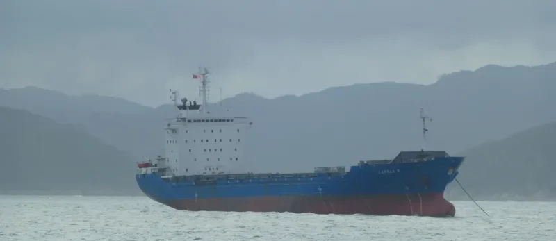 CAROL Container Ship IMO 8908715