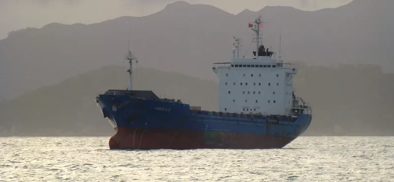CAROL Container Ship IMO 8908715 photo 2