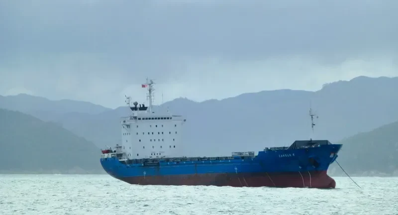 CAROL Container Ship IMO 8908715 photo 3
