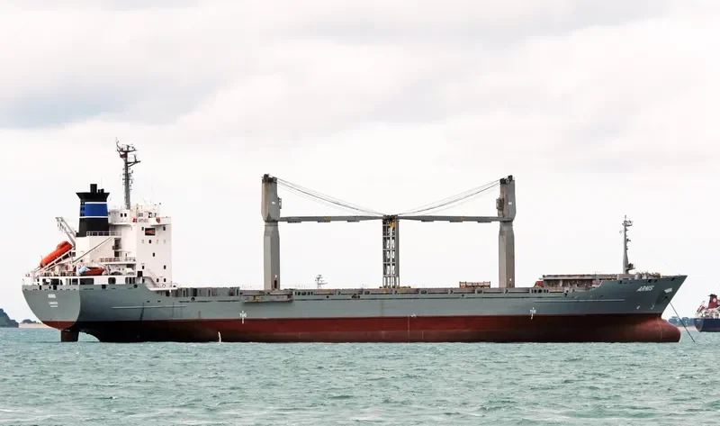 ARNIS Container Ship IMO 8908727 photo 3