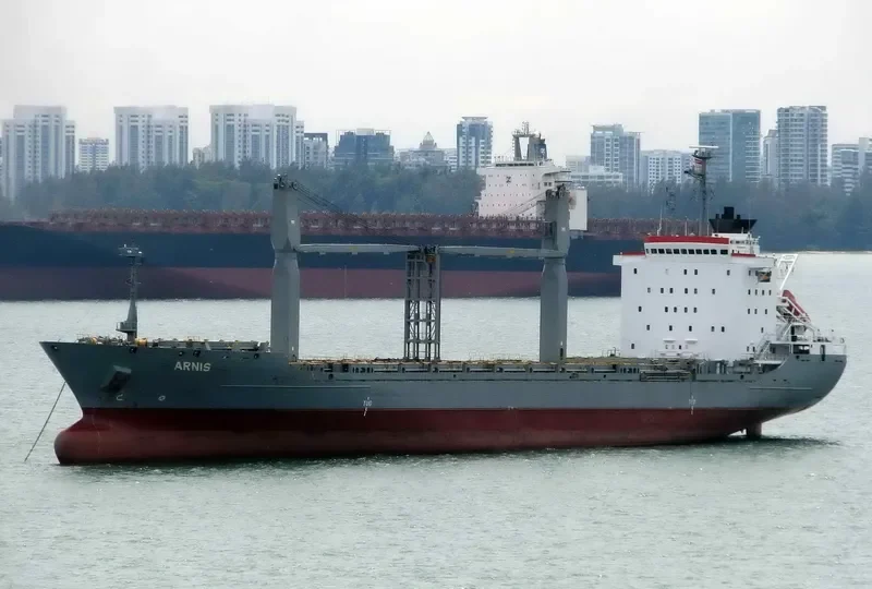 ARNIS Container Ship IMO 8908727 photo 4