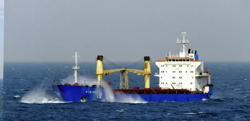 PIRITA General Cargo IMO 8908832