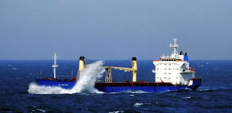 PIRITA General Cargo IMO 8908832 photo 2