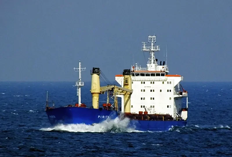 PIRITA General Cargo IMO 8908832 photo 4