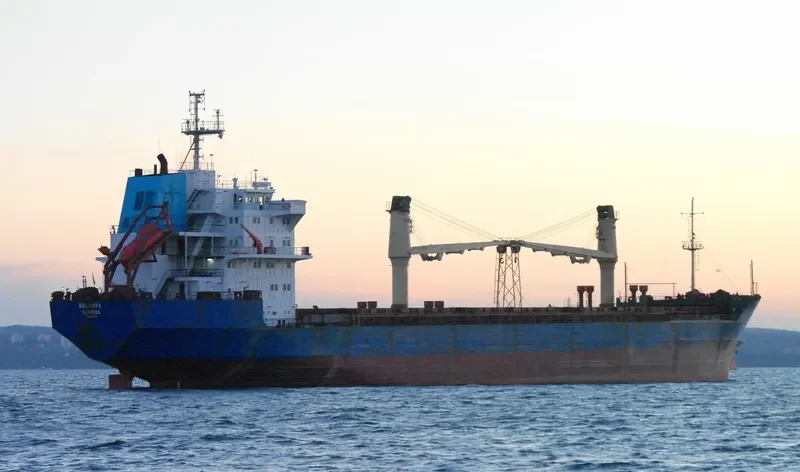 PIRITA General Cargo IMO 8908832 photo 5