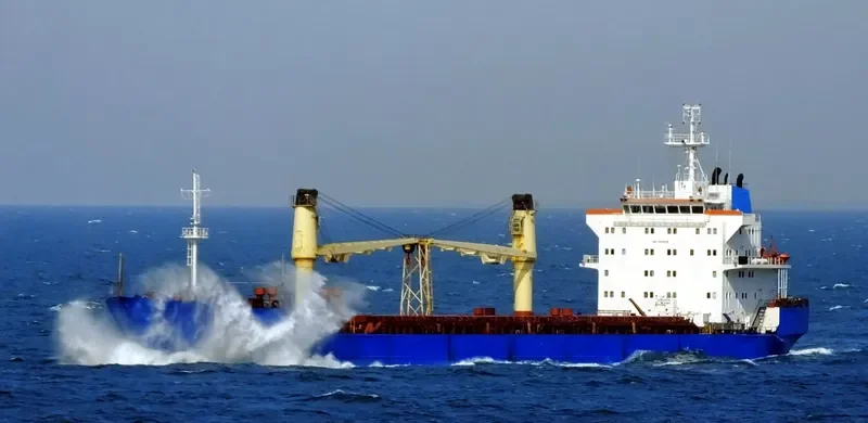 PIRITA General Cargo IMO 8908832 photo 10