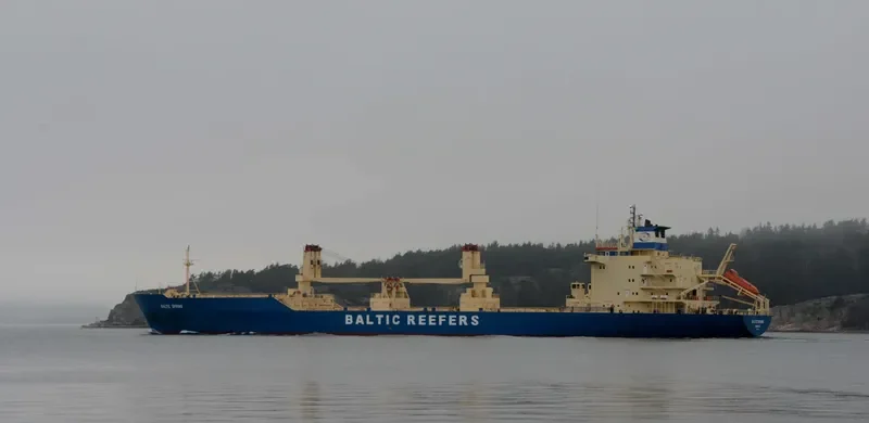 BALTIC SPRING General Cargo IMO 8909070