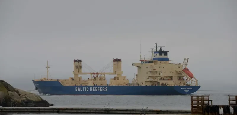 BALTIC SPRING General Cargo IMO 8909070 photo 2