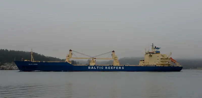 BALTIC SPRING General Cargo IMO 8909070 photo 3