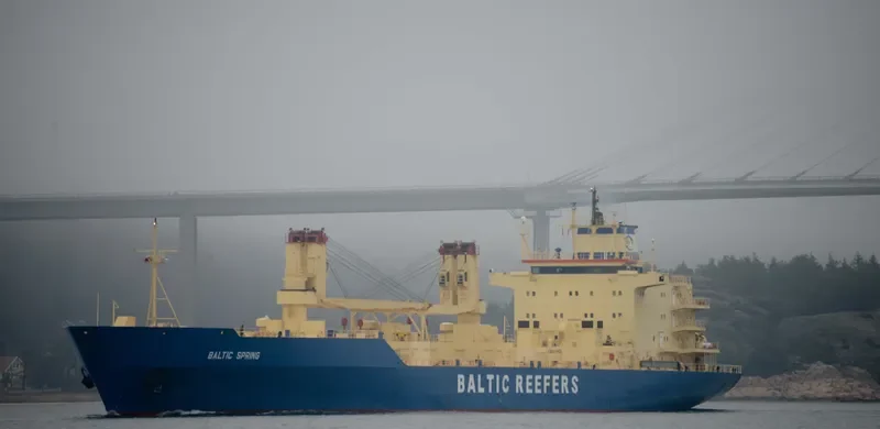 BALTIC SPRING General Cargo IMO 8909070 photo 4