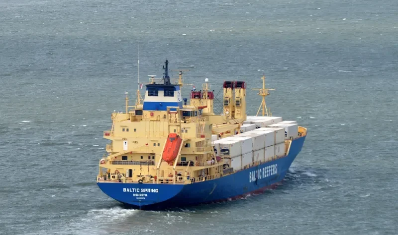BALTIC SPRING General Cargo IMO 8909070 photo 7