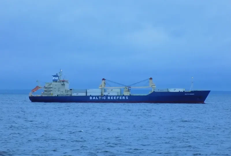 BALTIC SPRING General Cargo IMO 8909070 photo 8