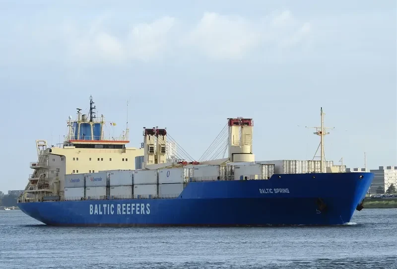 BALTIC SPRING General Cargo IMO 8909070 photo 9