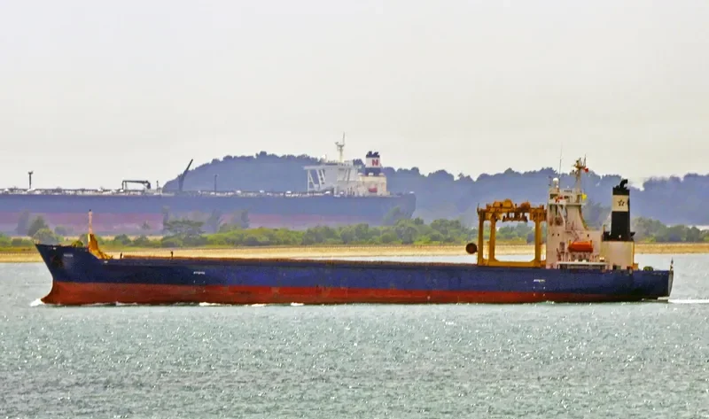 NINOS Container Ship IMO 8909082 photo 8