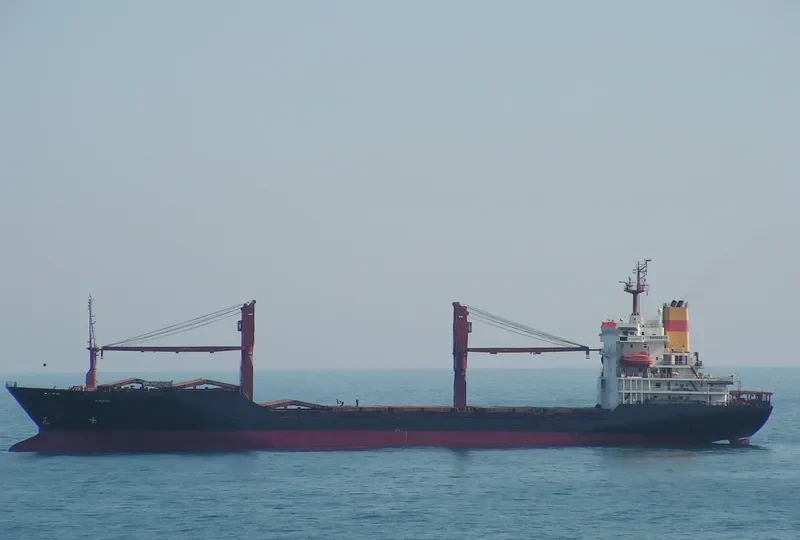 SAI SUNRISE General Cargo IMO 8909355