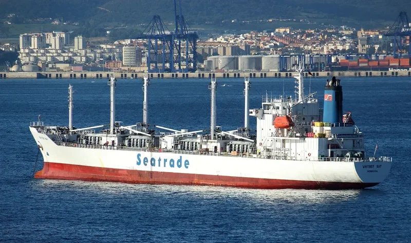 WHITNEY BAY General Cargo IMO 8911085 photo 10