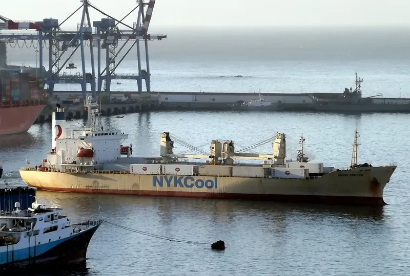 ORION REEFER General Cargo IMO 8911097 photo 2