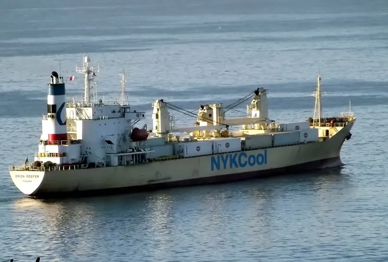 ORION REEFER General Cargo IMO 8911097 photo 3