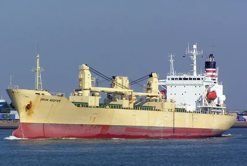 ORION REEFER General Cargo IMO 8911097 photo 4