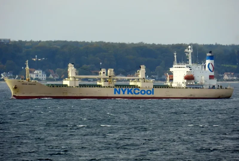 ORION REEFER General Cargo IMO 8911097 photo 7