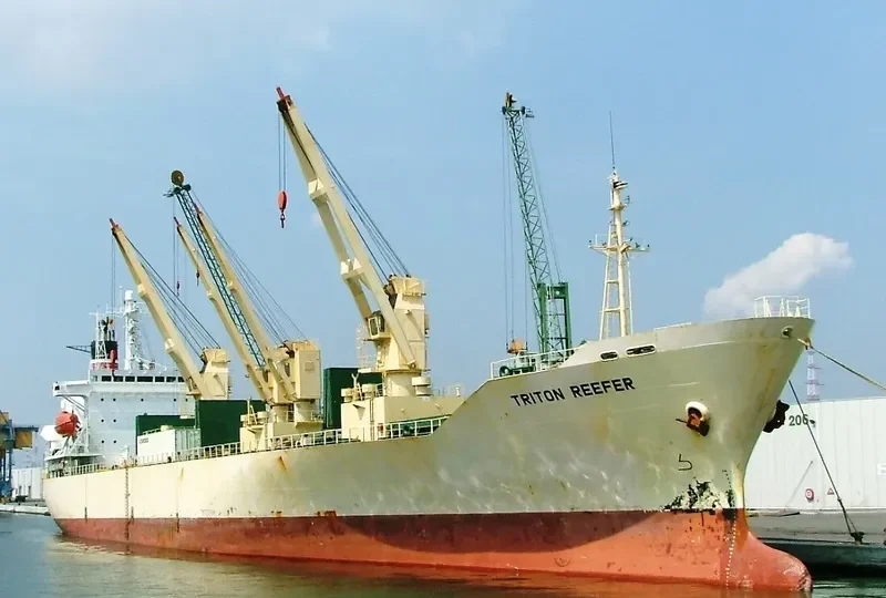 TRITON REEFER General Cargo IMO 8911102