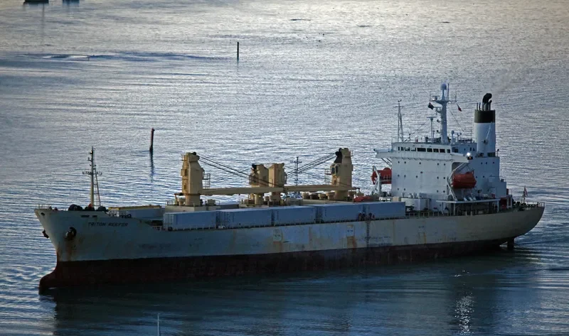 TRITON REEFER General Cargo IMO 8911102 photo 7