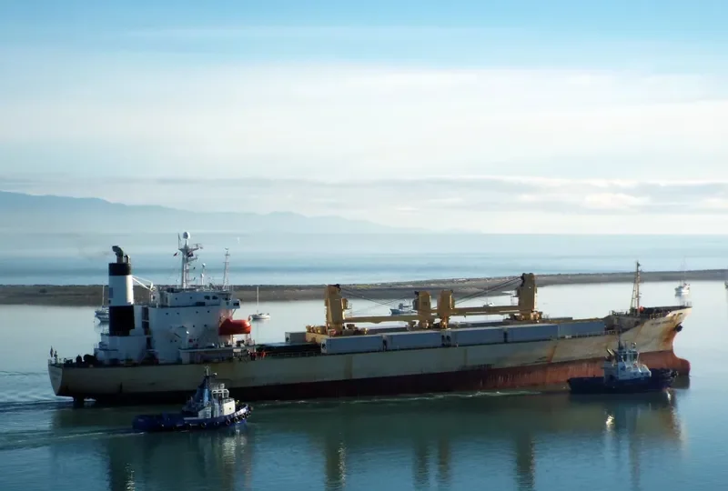 TRITON REEFER General Cargo IMO 8911102 photo 9