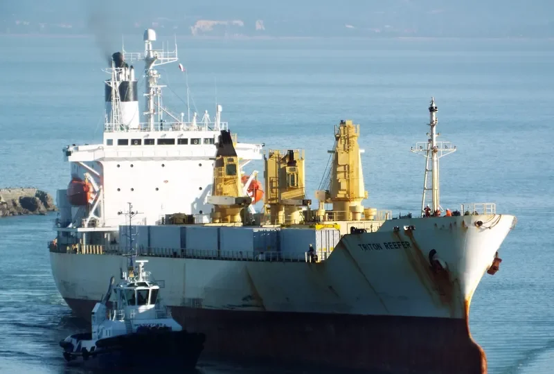 TRITON REEFER General Cargo IMO 8911102 photo 10