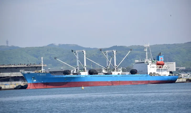 BARON NO.1 General Cargo IMO 8911619 photo 2