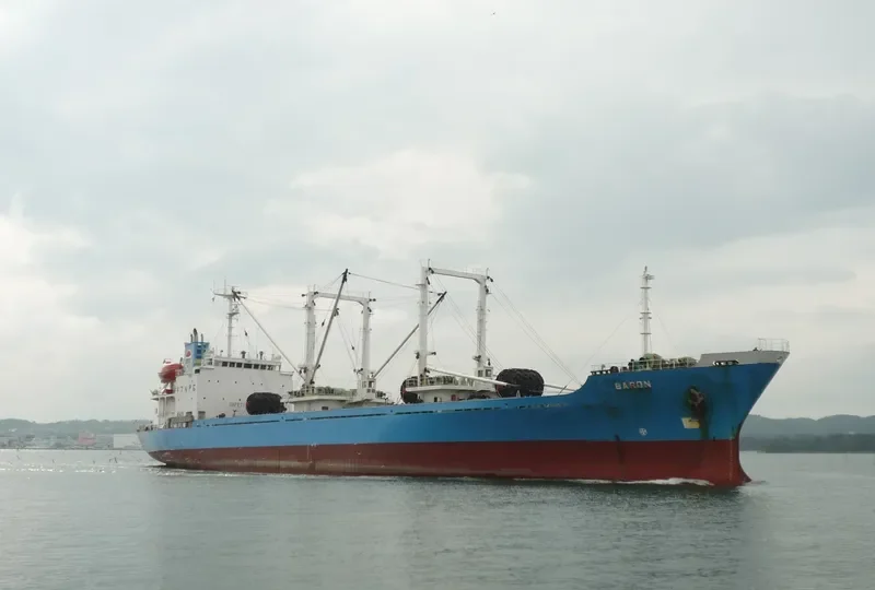 BARON NO.1 General Cargo IMO 8911619 photo 6