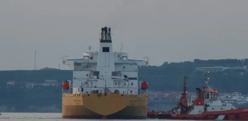 STOLT VINLAND Tanker IMO 8911657 photo 4