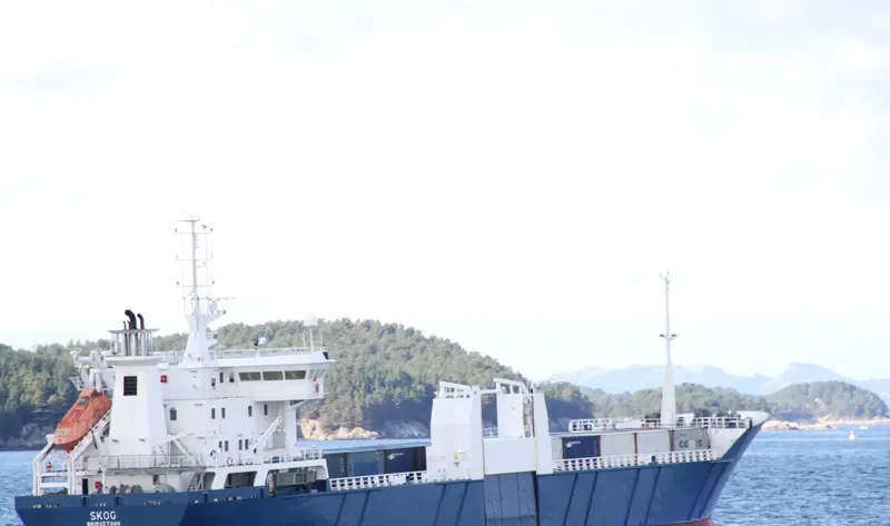 SKOG Container Ship IMO 8912039 photo 2