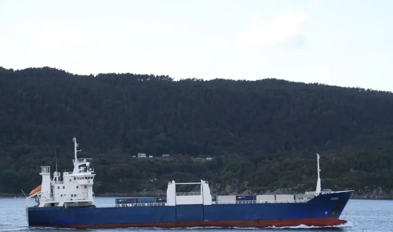 SKOG Container Ship IMO 8912039 photo 3