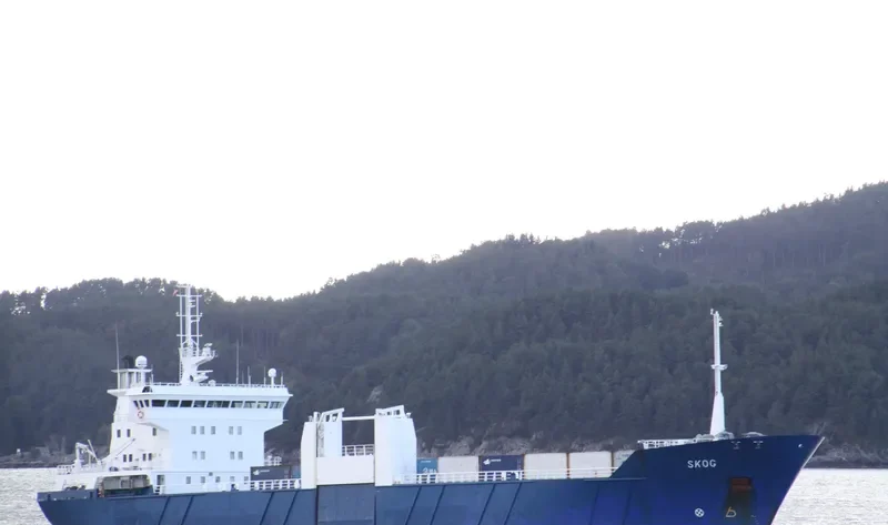 SKOG Container Ship IMO 8912039 photo 4