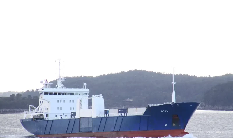 SKOG Container Ship IMO 8912039 photo 5