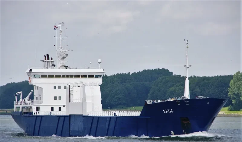 SKOG Container Ship IMO 8912039 photo 7