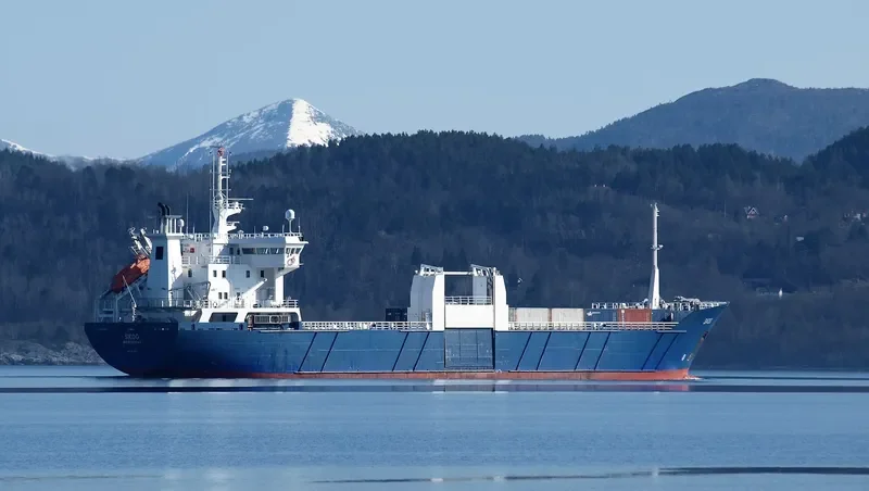 SKOG Container Ship IMO 8912039 photo 8