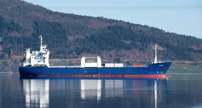 SKOG Container Ship IMO 8912039 photo 9