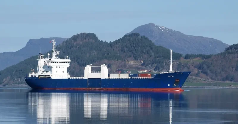 SKOG Container Ship IMO 8912039 photo 10
