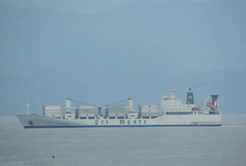 HORNCLIFF General Cargo IMO 8912041 photo 5
