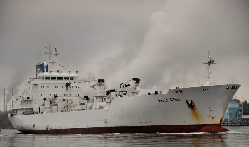 GREEN CHILE General Cargo IMO 8912156 photo 6