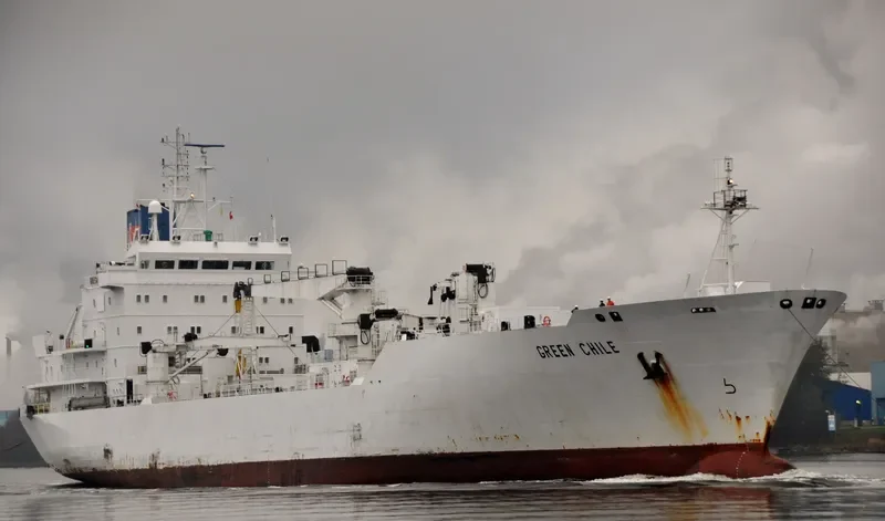 GREEN CHILE General Cargo IMO 8912156 photo 8