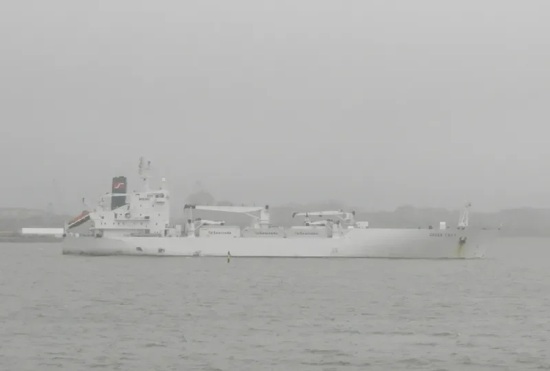 GREEN CHILE General Cargo IMO 8912156 photo 9