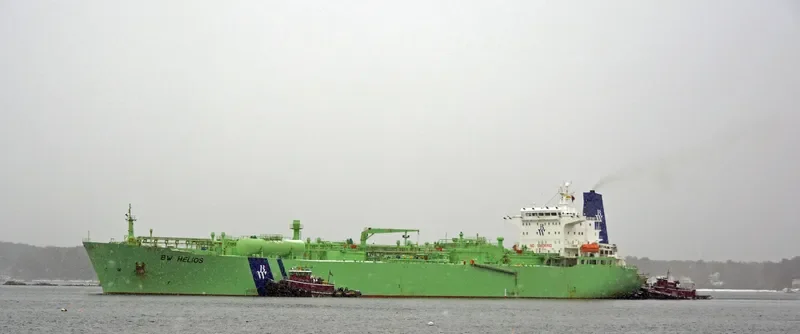BW HELIOS General Cargo IMO 8912182 photo 3