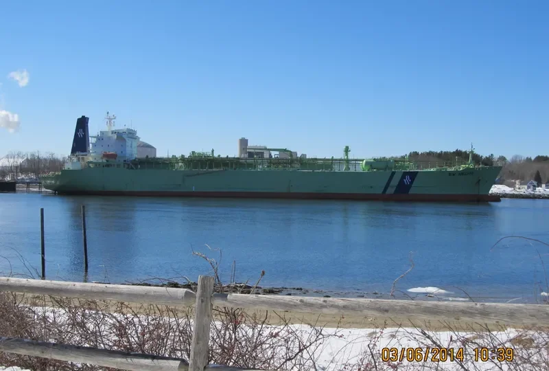 BW HELIOS General Cargo IMO 8912182 photo 4