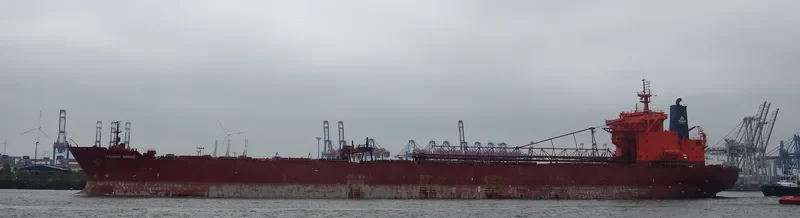 YEOMAN BRIDGE Bulk Carrier IMO 8912302 photo 9