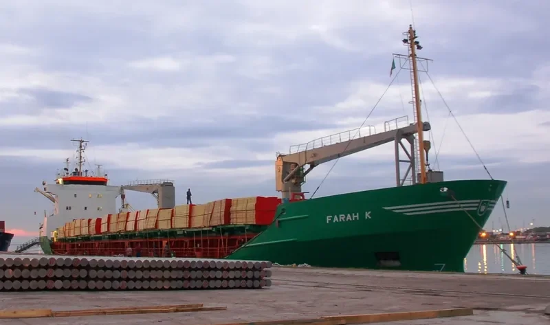 SPAN ASIA 23 General Cargo IMO 8912510