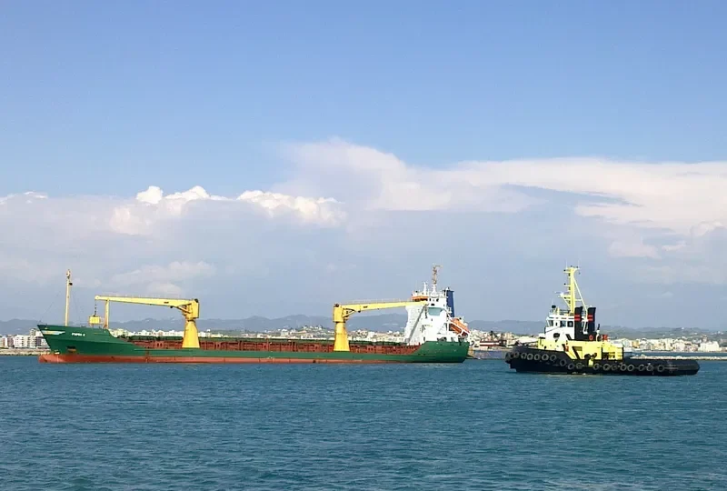 SPAN ASIA 23 General Cargo IMO 8912510 photo 9
