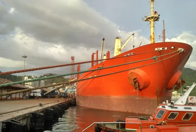 RUN FU 7 Bulk Carrier IMO 8912522